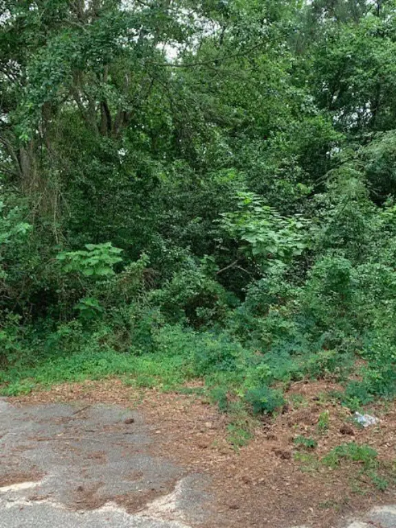Picture 3