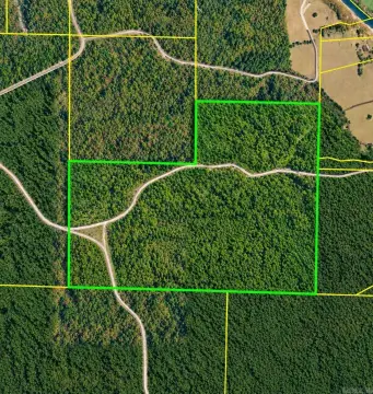 Timbered Land Along National Forest