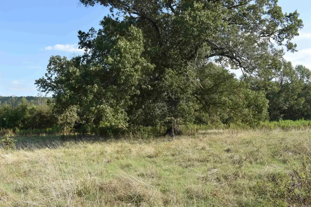 Picture 16