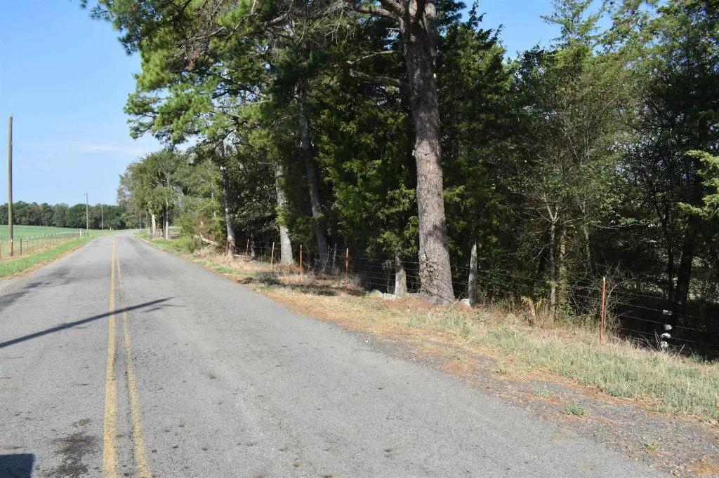 Picture 25
