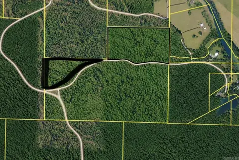 Hunting Land with Mature Timber