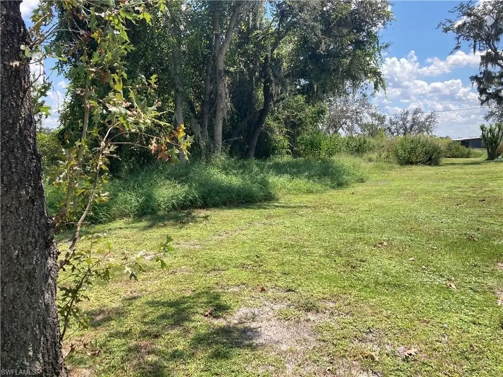 Picture 18
