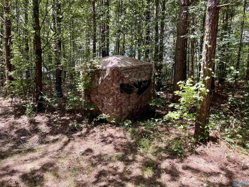 Picture 20