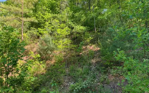 Brasstown Vacant Lot For Sale