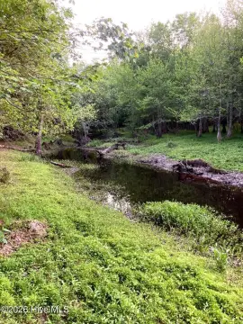34-Acre Land Parcel in Burgaw