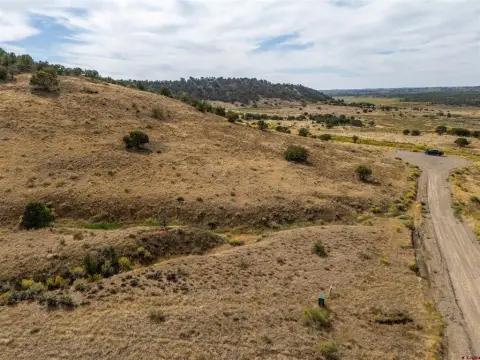 Residential Land in Dolores, Colorado