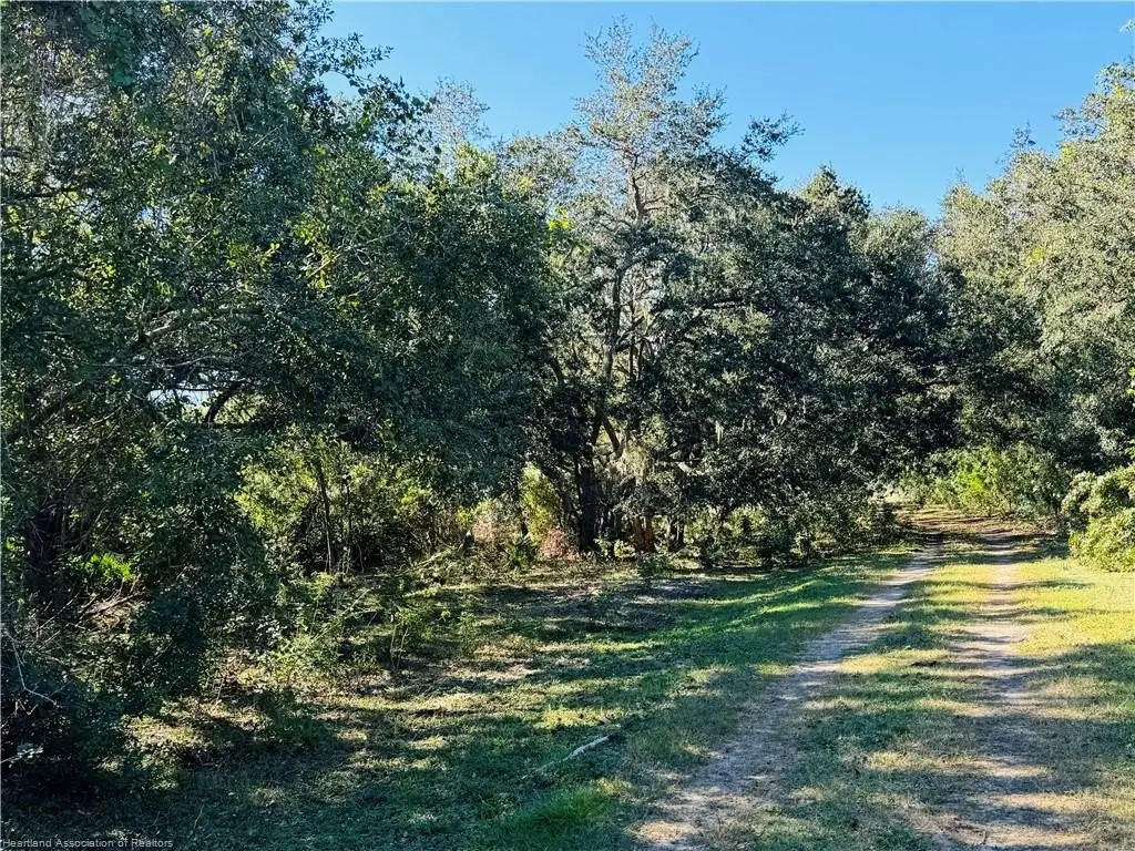 Picture 24