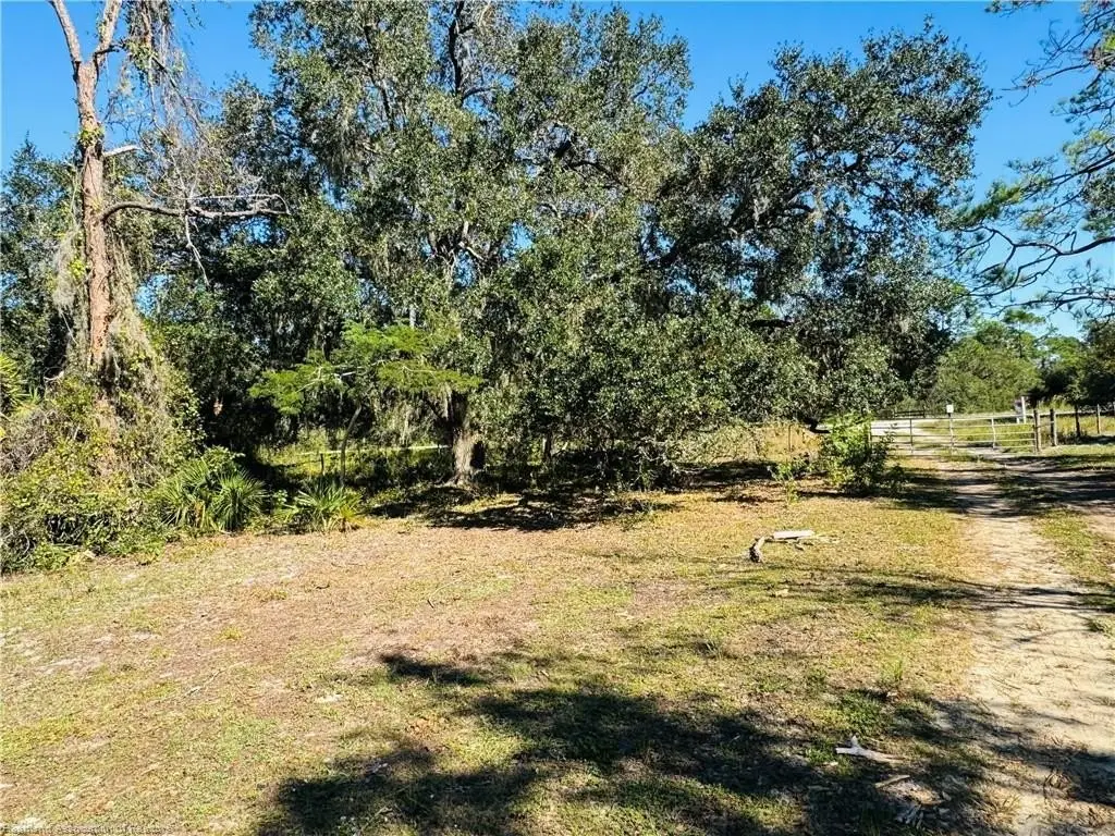 Picture 26