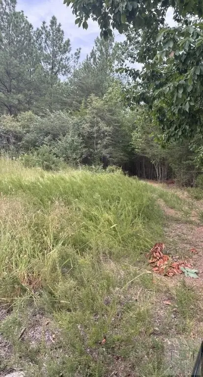 Picture 2