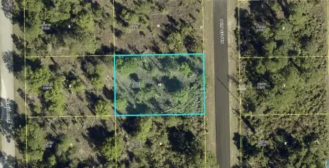 Residential Lot in Lehigh Acres