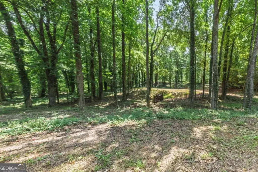 Picture 16