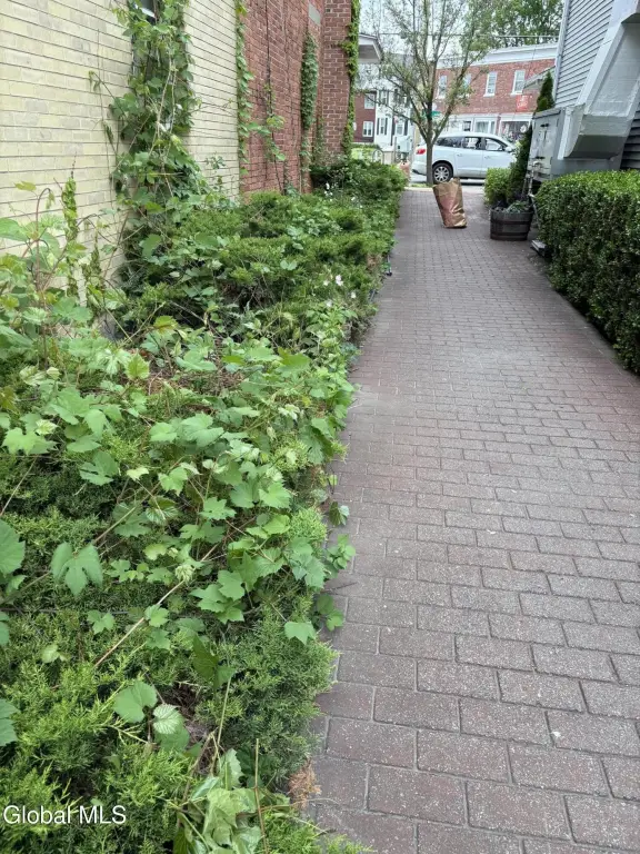 Picture 5