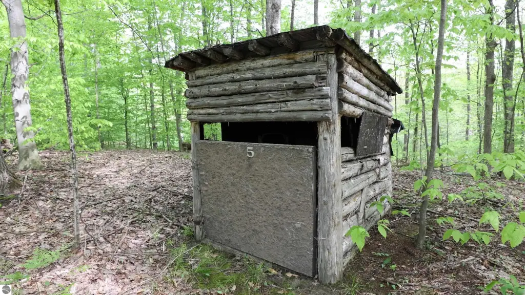 Picture 27