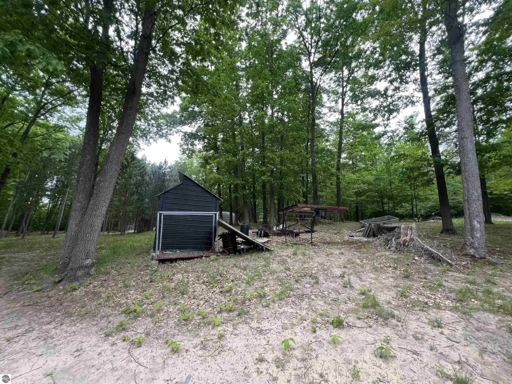 Picture 5