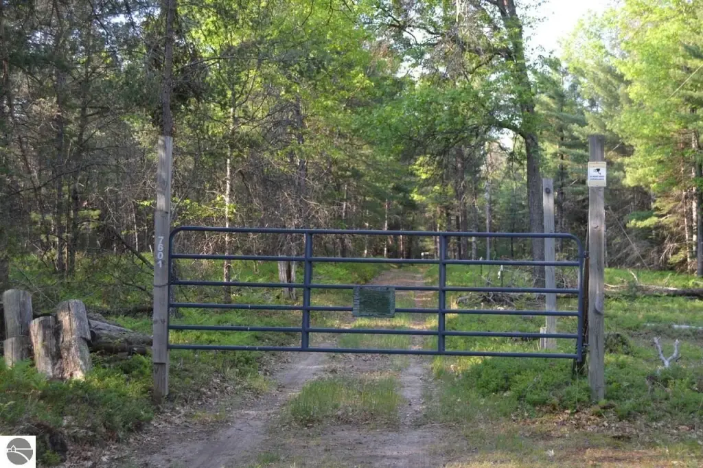 Picture 13