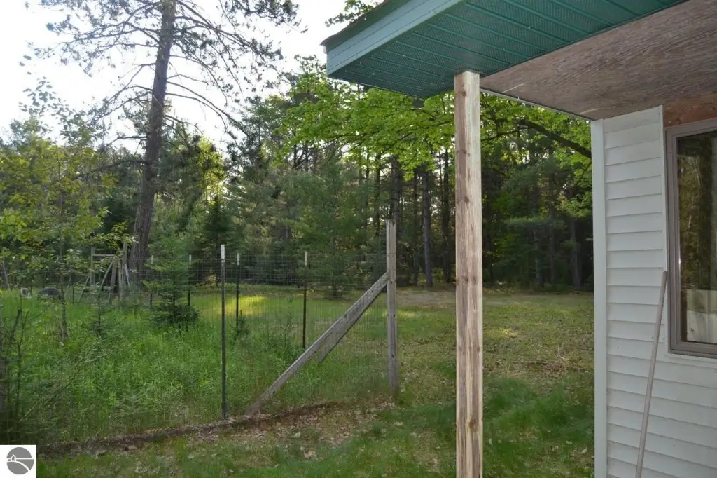 Picture 8