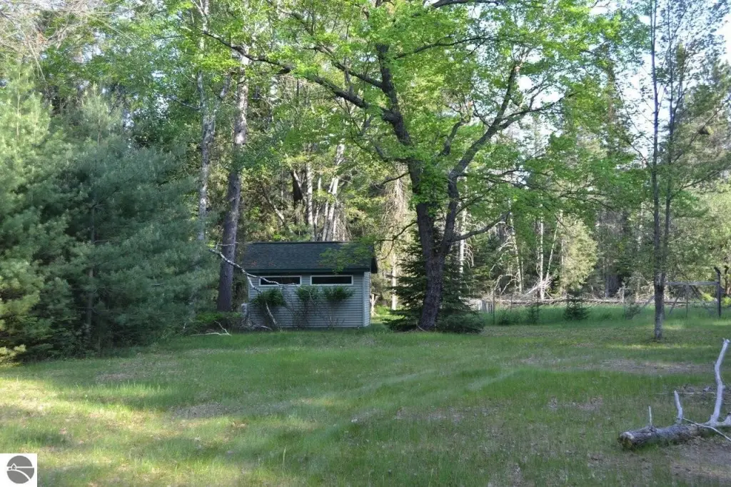 Picture 4