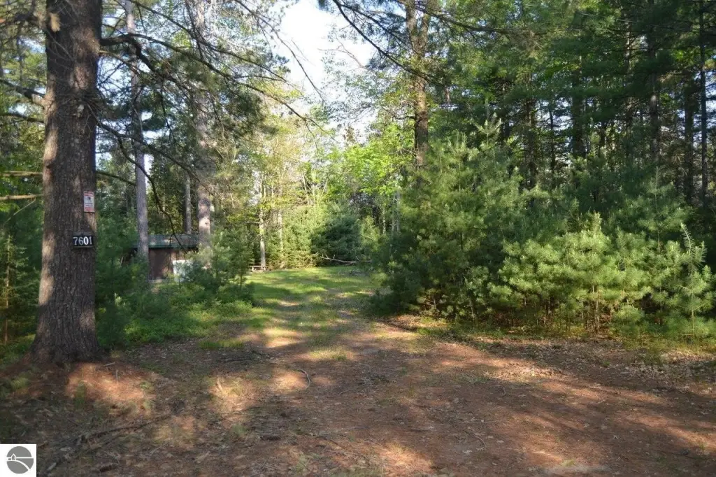 Picture 3