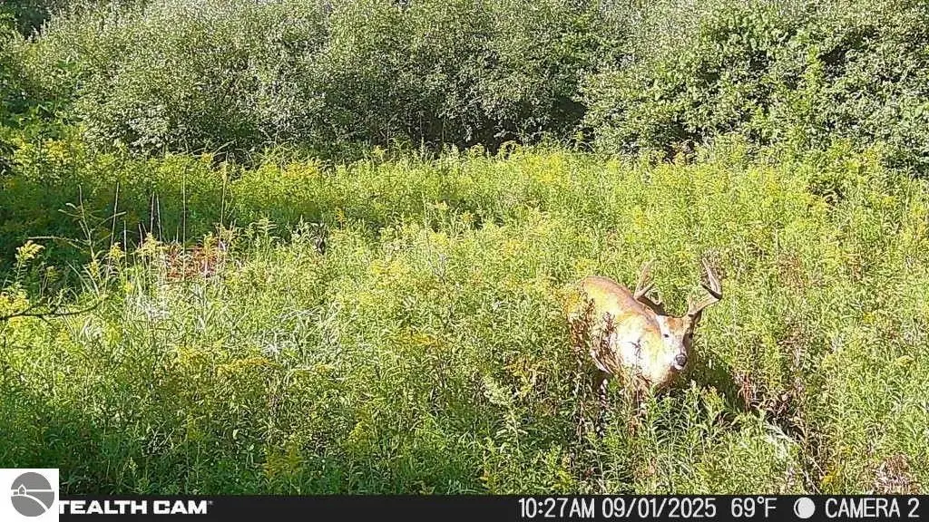 Picture 23