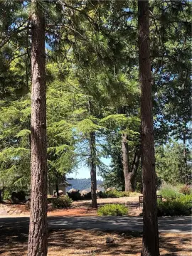 Cobb Mountain Land for Sale