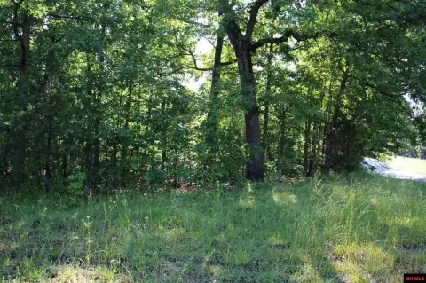 Yellville Acreage with Highway Frontage