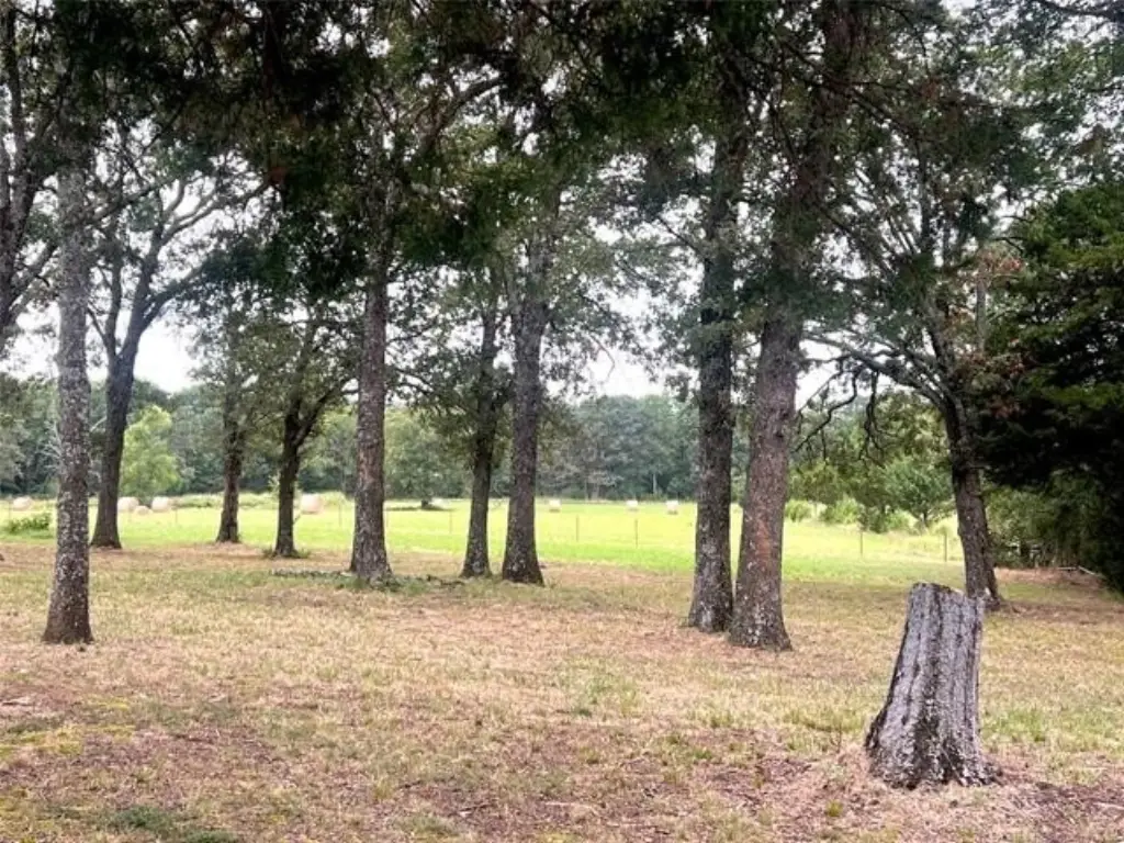 Picture 11