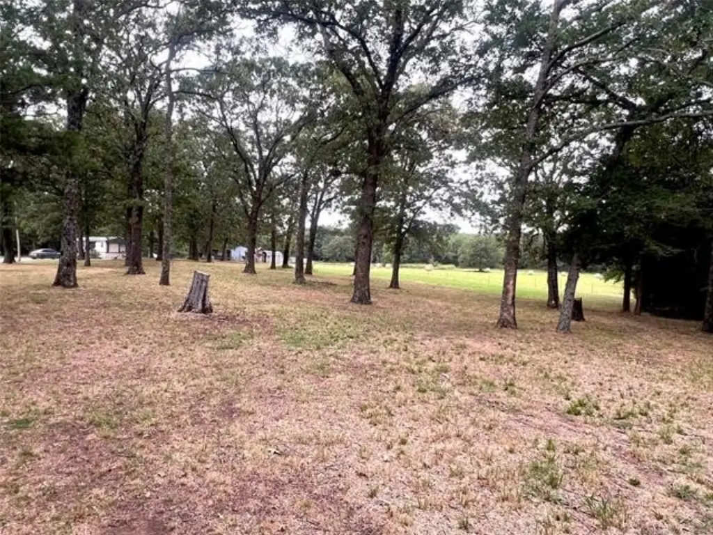 Picture 17