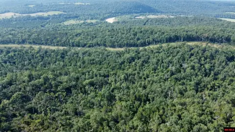 40 Acres of Wooded Land
