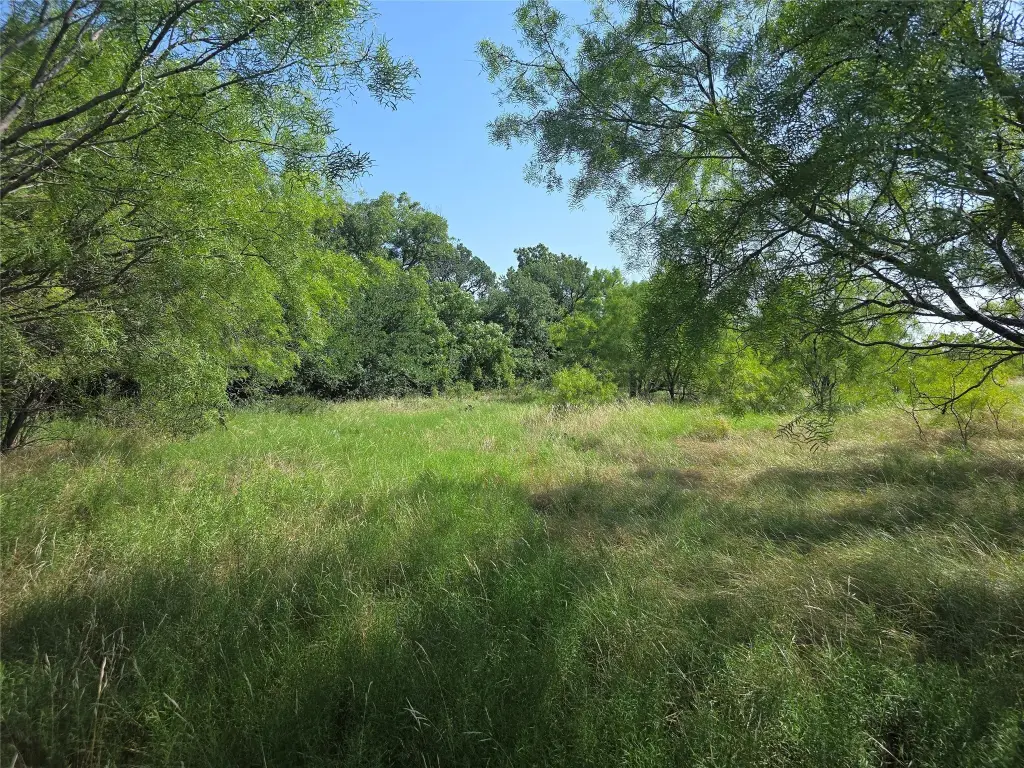 Picture 27