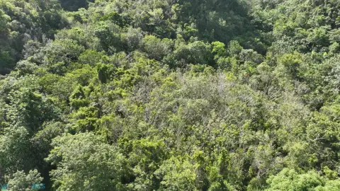 Agricultural Land with Cave Access