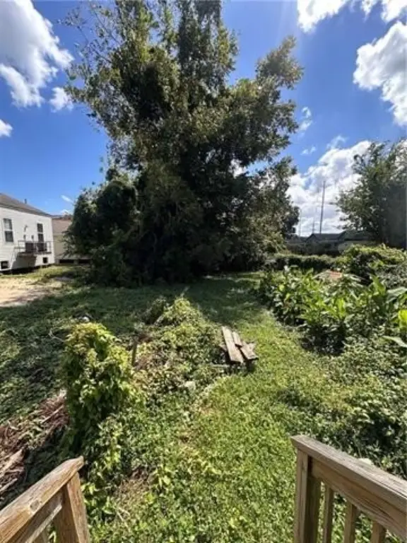 Picture 17