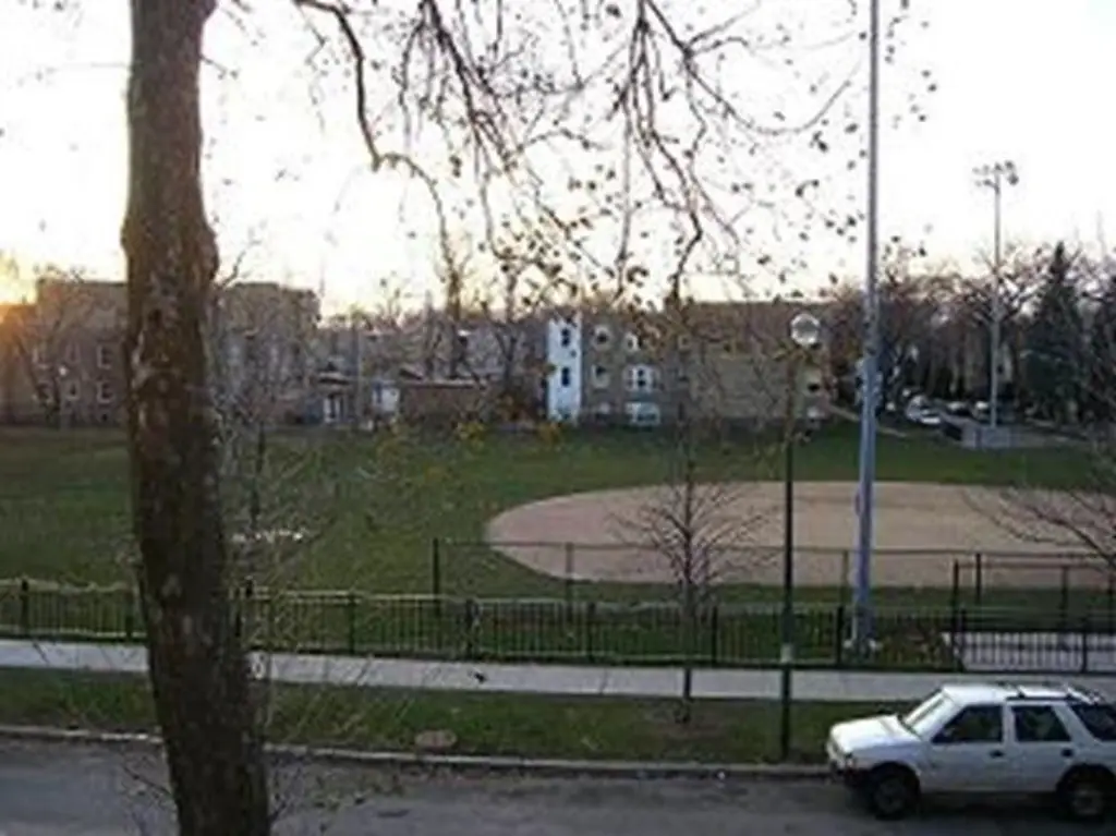 Picture 23