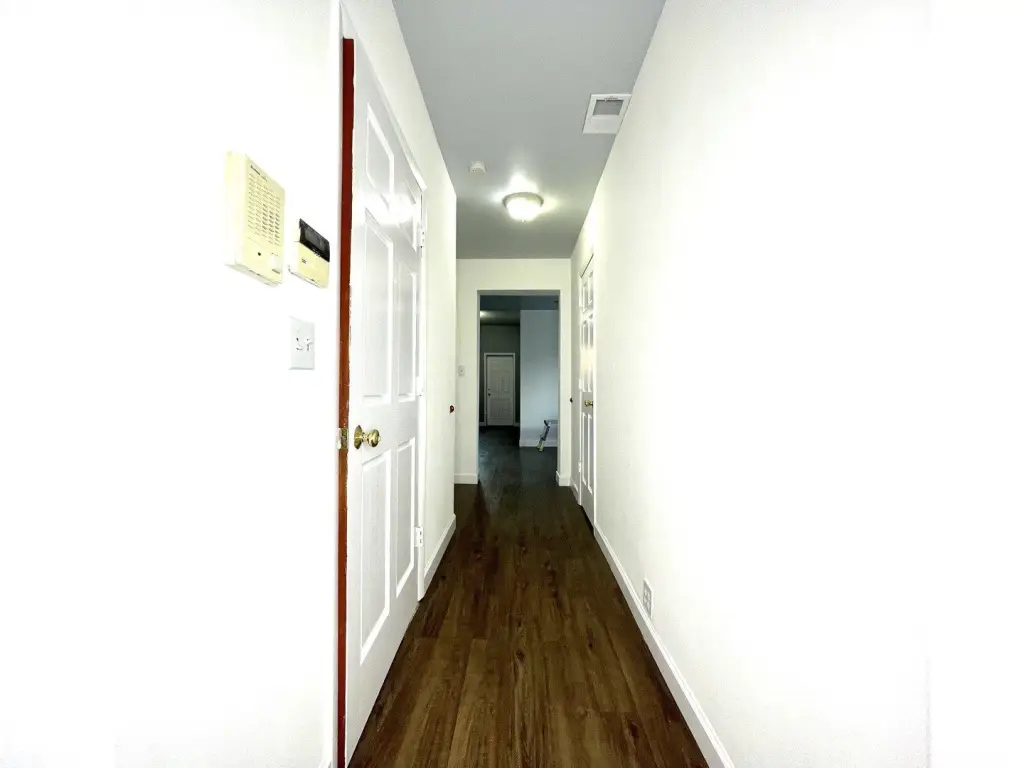Picture 7