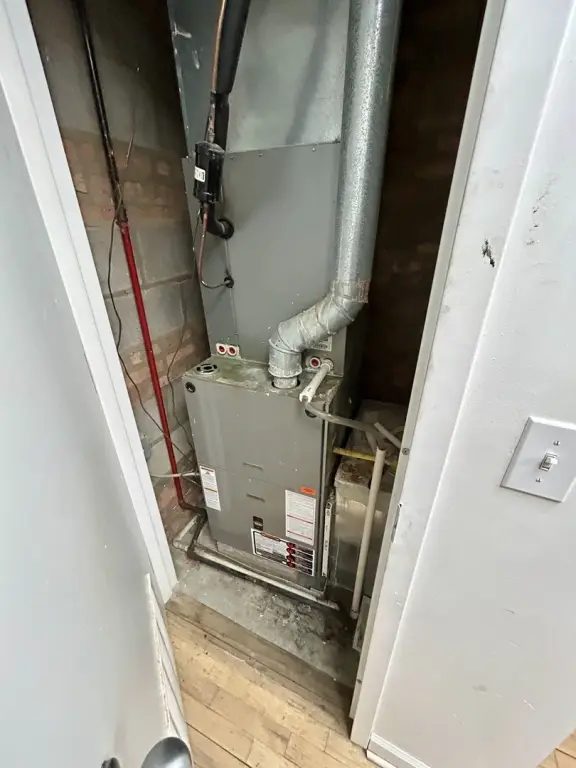 Picture 21