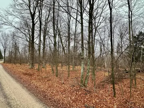 Wooded Lot Near Golf Course