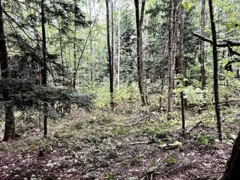 Haverhill, NH Land For Sale