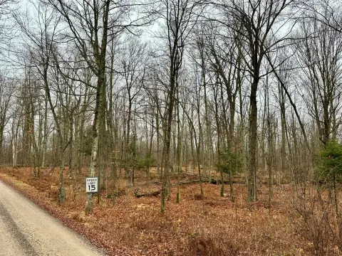 Wooded Lot Near Golf Course