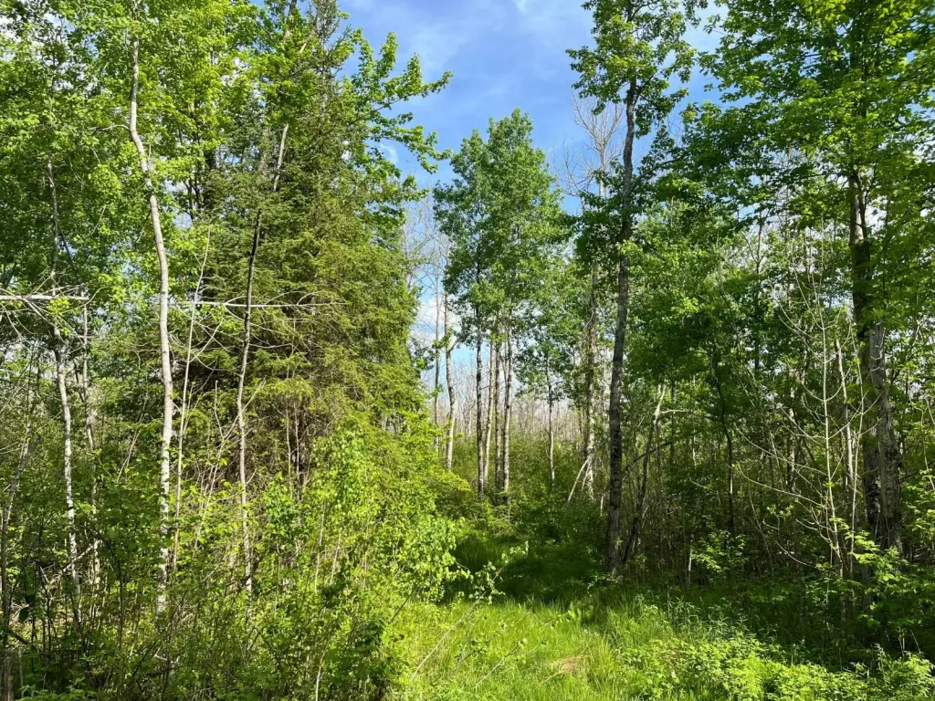 Picture 25