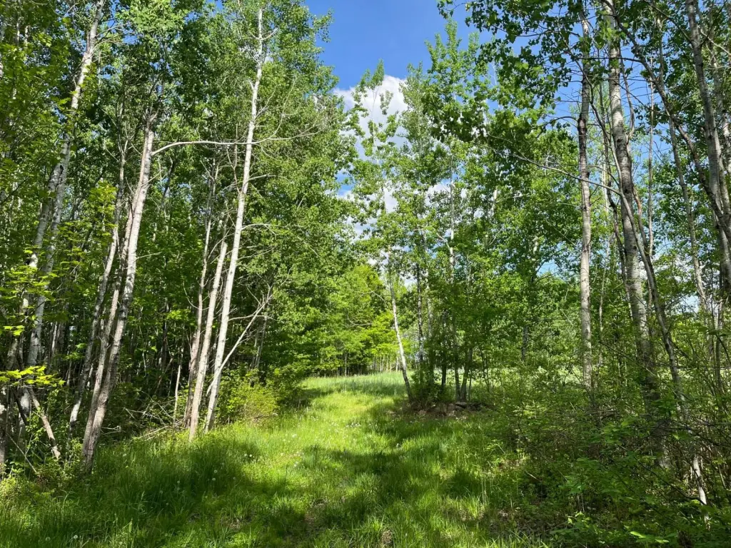 Picture 14