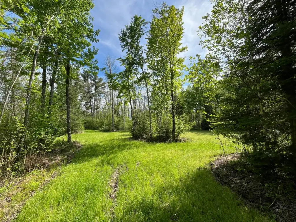 Picture 20