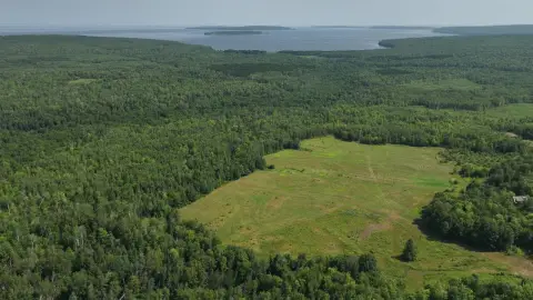 Raspberry River Waterfront Land