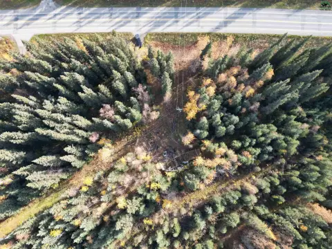 Salcha Land with River Proximity