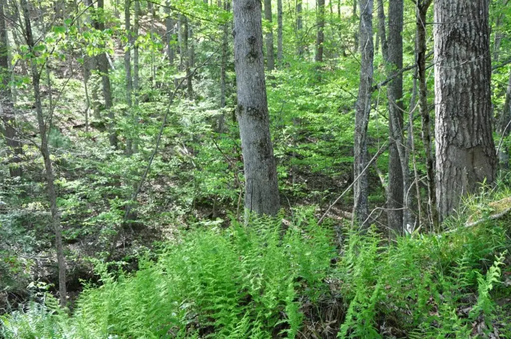 Picture 14