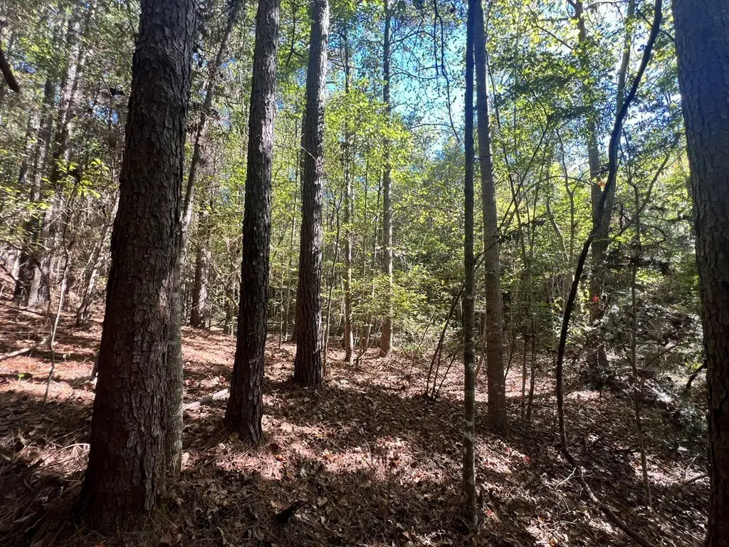 Picture 19