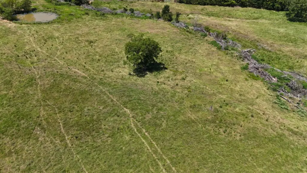 Picture 11