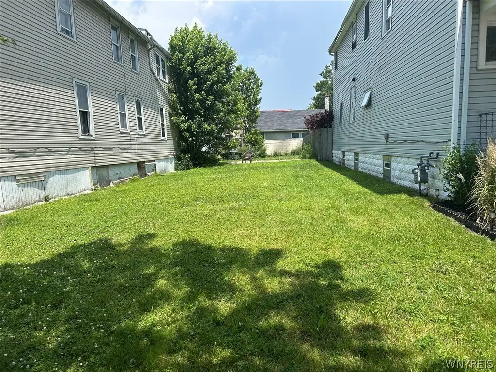 Picture 5