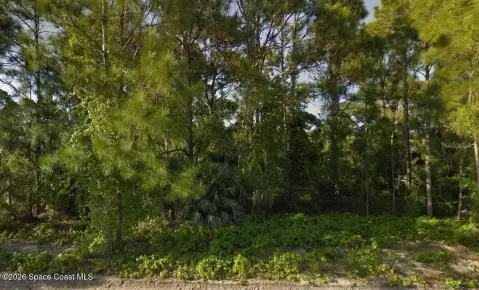 Residential Lot in Palm Bay