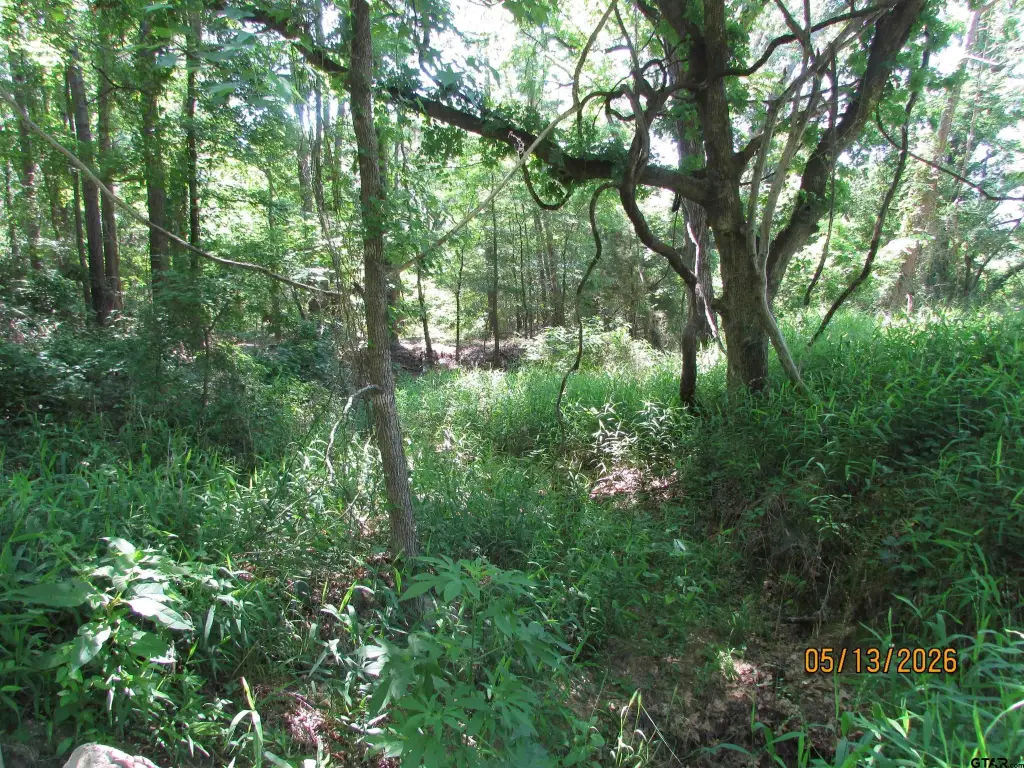 Picture 5