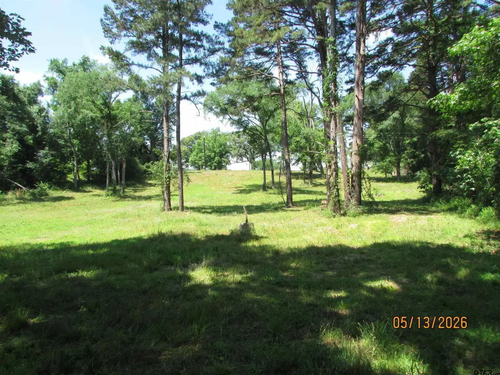 Picture 6
