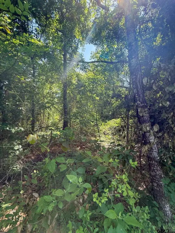 Picture 5
